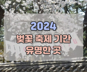 2024 벚꽃 축제 기간 유명한 곳 (여의도, 불광천, 경주, 진해, 대전)