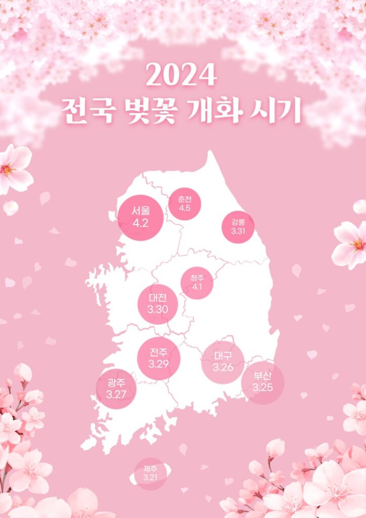 2024 전국 벚꽃 개화 시기